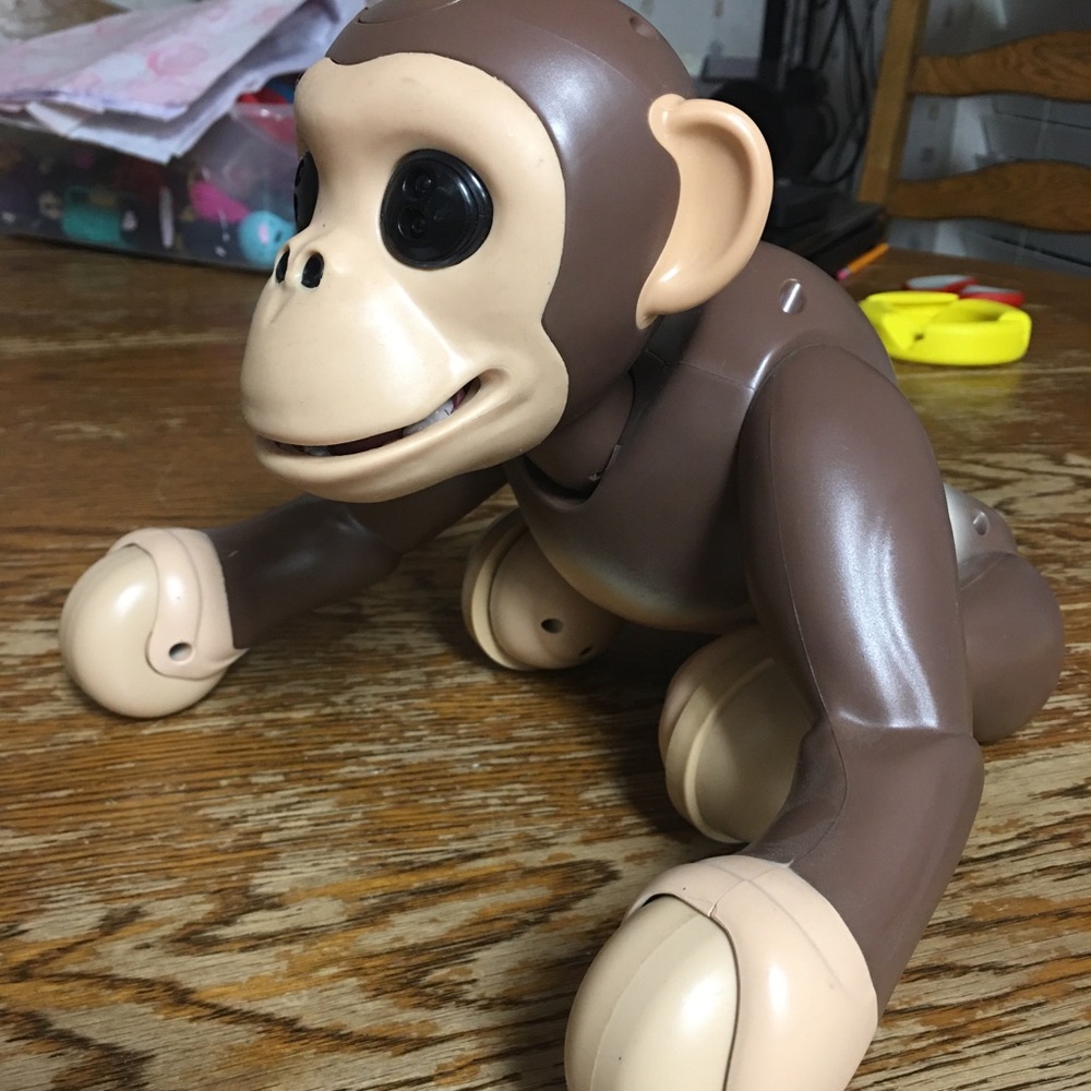 Zoomer chimp interactive